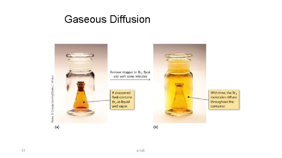 Gaseous Diffusion 51 גזים 8 - 