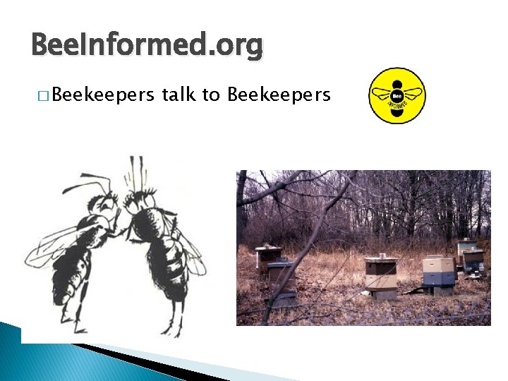 Bee. Informed. org � Beekeepers talk to Beekeepers 