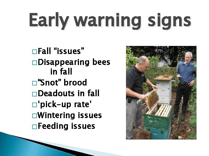 Early warning signs � Fall “issues” � Disappearing bees in fall � “Snot” brood