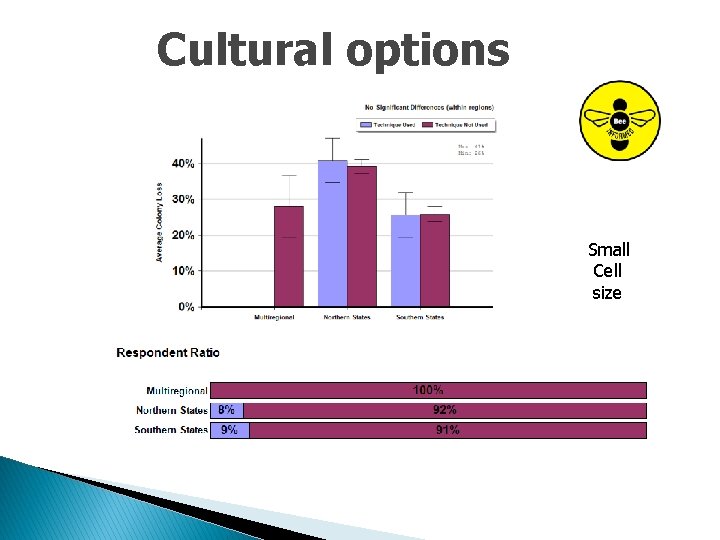 Cultural options Small Cell size 