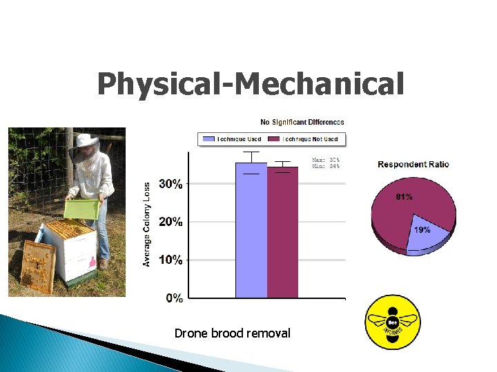Physical-Mechanical Drone brood removal 
