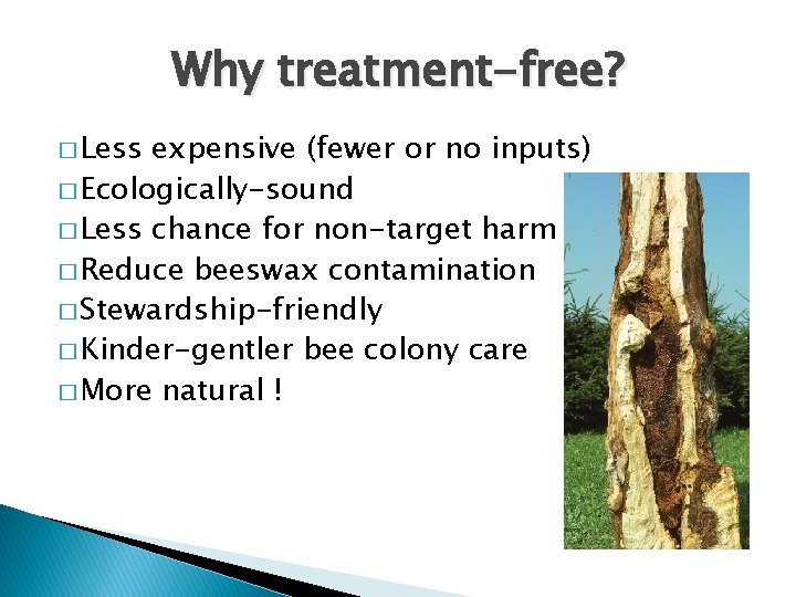 Why treatment-free? � Less expensive (fewer or no inputs) � Ecologically-sound � Less chance