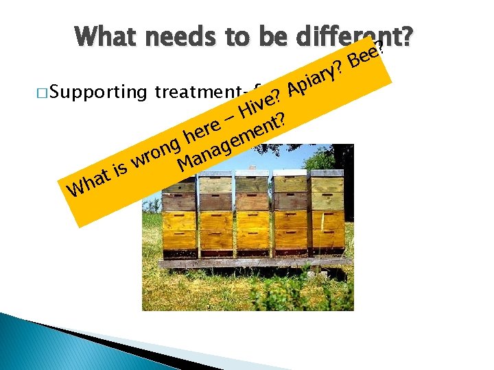 What needs to be different? ? A treatment-free? ? e v i H ?