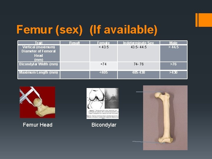 Femur (sex) (If available) Trait Vertical (maximum) Diameter of Femoral Head (mm) Bicondylar Width