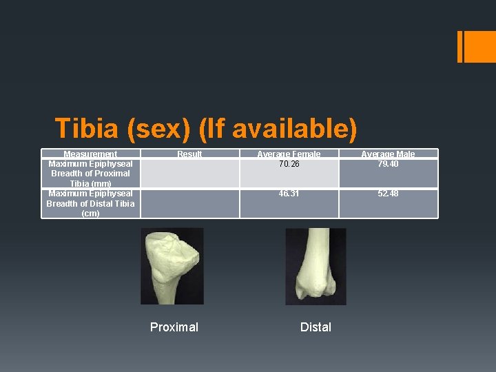 Tibia (sex) (If available) Measurement Maximum Epiphyseal Breadth of Proximal Tibia (mm) Maximum Epiphyseal