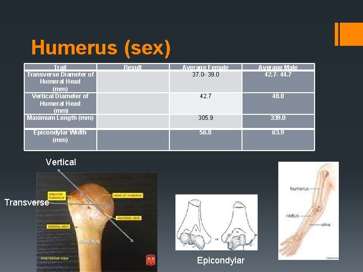 Humerus (sex) Trait Transverse Diameter of Humeral Head (mm) Vertical Diameter of Humeral Head