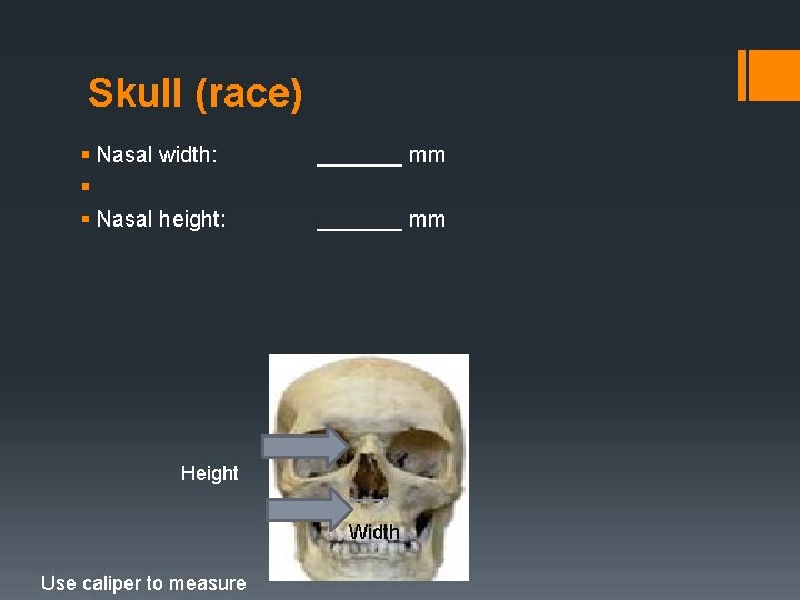 Skull (race) § Nasal width: § § Nasal height: _______ mm Height Width Use