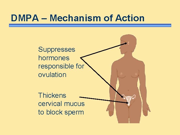 DMPA – Mechanism of Action Suppresses hormones responsible for ovulation Thickens cervical mucus to DMPA – Mechanism of Action Suppresses hormones responsible for ovulation Thickens cervical mucus to