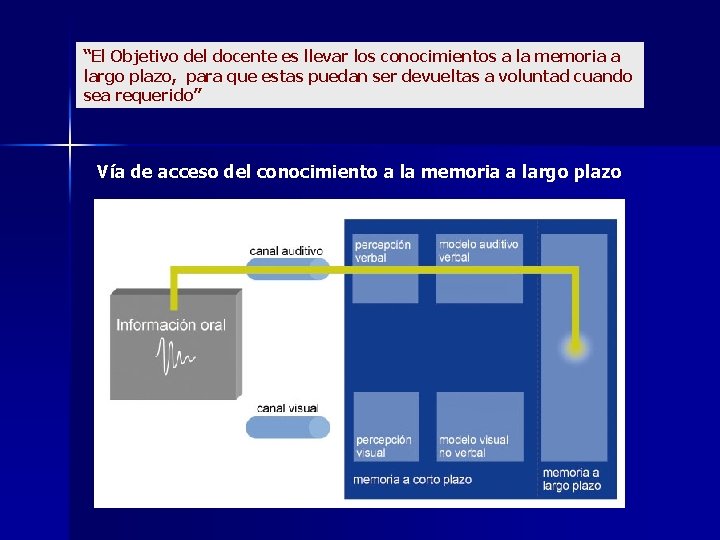 “El Objetivo del docente es llevar los conocimientos a la memoria a largo plazo,