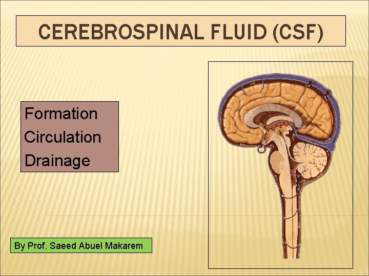 CEREBROSPINAL FLUID (CSF) Formation Circulation Drainage By Prof. Saeed Abuel Makarem 
