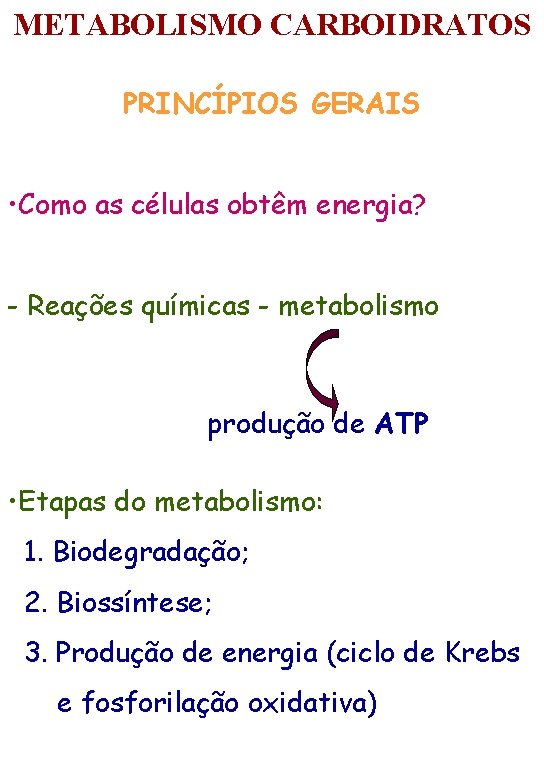 METABOLISMO CARBOIDRATOS PRINCÍPIOS GERAIS • Como as células obtêm energia? - Reações químicas -