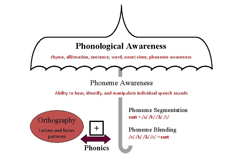 Phonological Awareness rhyme, alliteration, sentence, word, onset-rime, phoneme awareness Phoneme Awareness Ability to hear,
