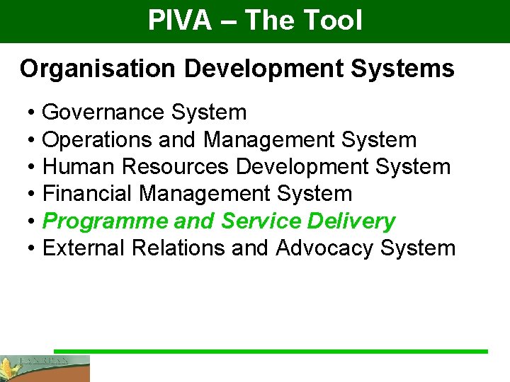 PIVA – The Tool Organisation Development Systems • Governance System • Operations and Management