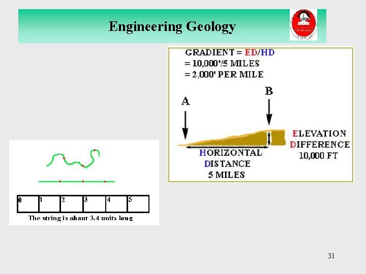 Engineering Geology 31 