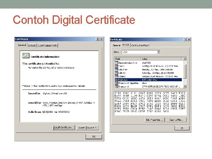 Contoh Digital Certificate 