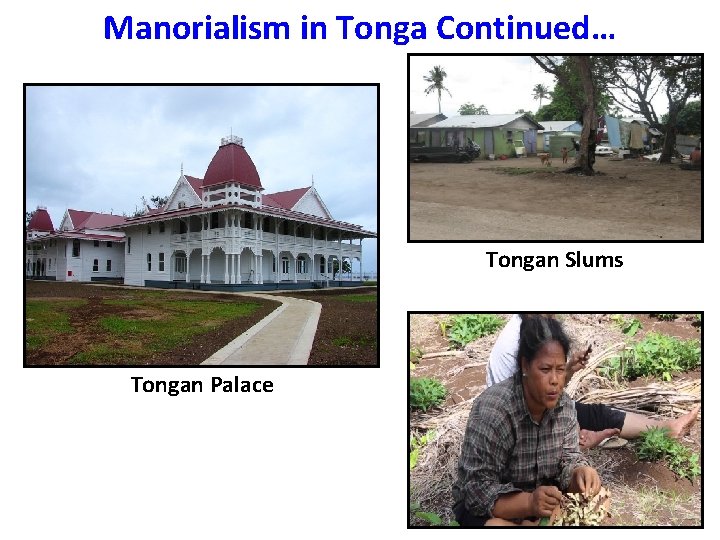 Manorialism in Tonga Continued… Tongan Slums Tongan Palace Manorialism in Tonga Continued… Tongan Slums Tongan Palace