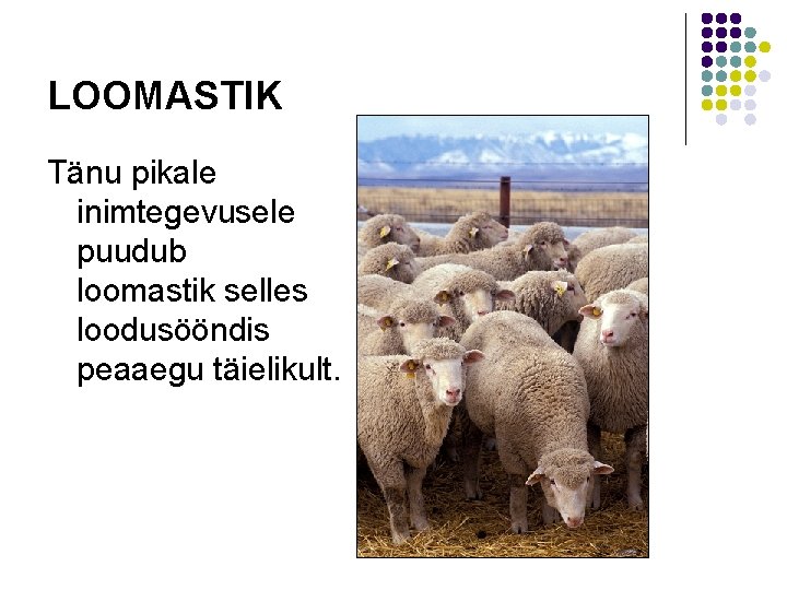 LOOMASTIK Tänu pikale inimtegevusele puudub loomastik selles loodusööndis peaaegu täielikult. 