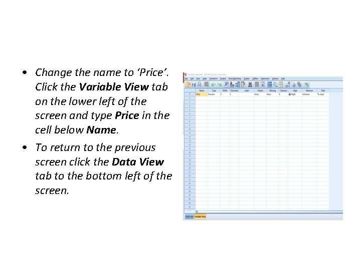  • Change the name to ‘Price’. Click the Variable View tab on the
