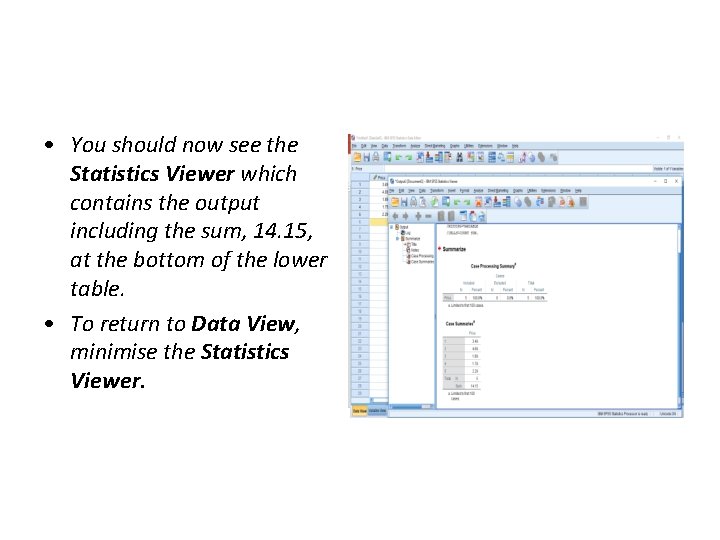  • You should now see the Statistics Viewer which contains the output including