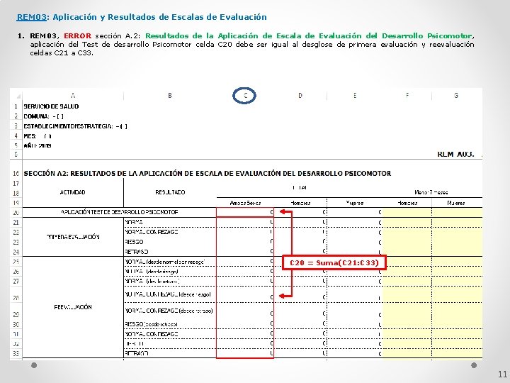 REM 03: Aplicación y Resultados de Escalas de Evaluación 1. REM 03, ERROR sección