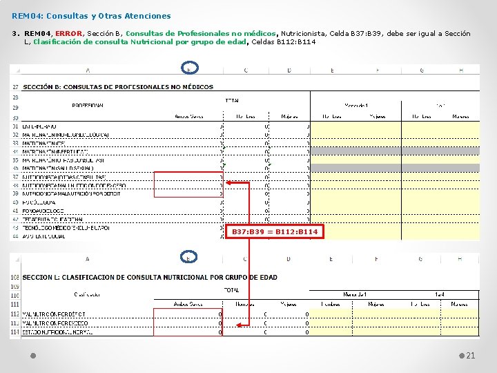 REM 04: Consultas y Otras Atenciones 3. REM 04, ERROR, Sección B, Consultas de