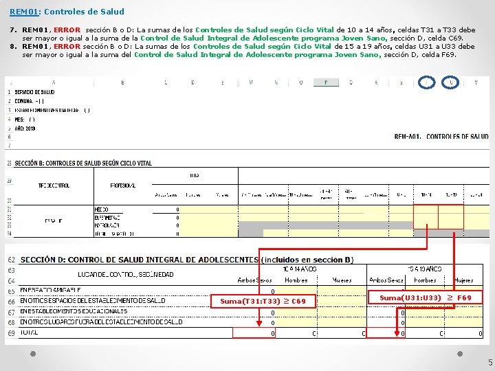 REM 01: Controles de Salud 7. REM 01, ERROR sección B o D: La