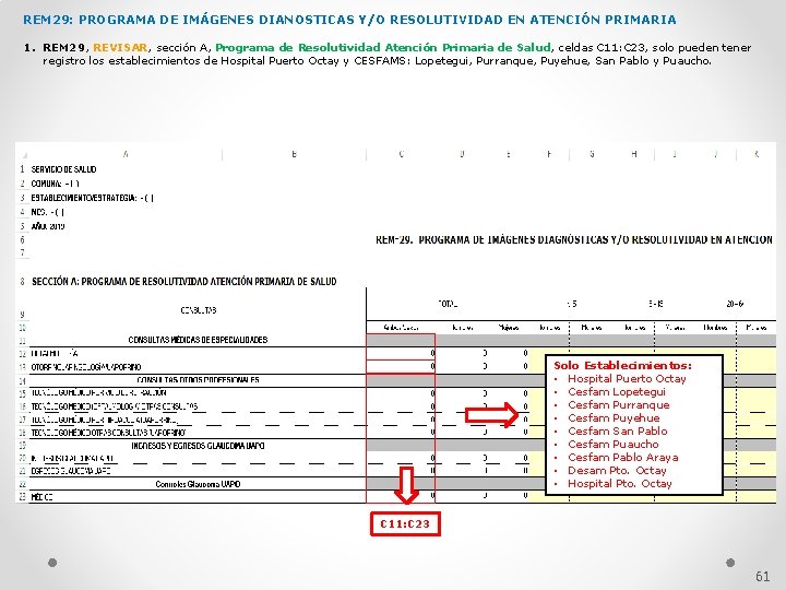 REM 29: PROGRAMA DE IMÁGENES DIANOSTICAS Y/O RESOLUTIVIDAD EN ATENCIÓN PRIMARIA 1. REM 29,