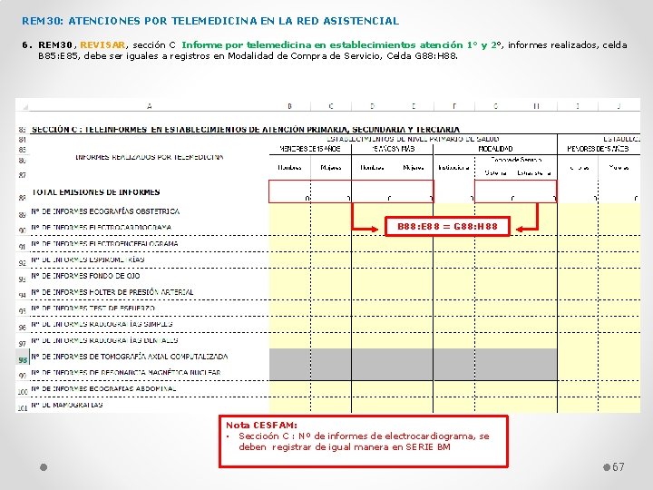 REM 30: ATENCIONES POR TELEMEDICINA EN LA RED ASISTENCIAL 6. REM 30, REVISAR, sección