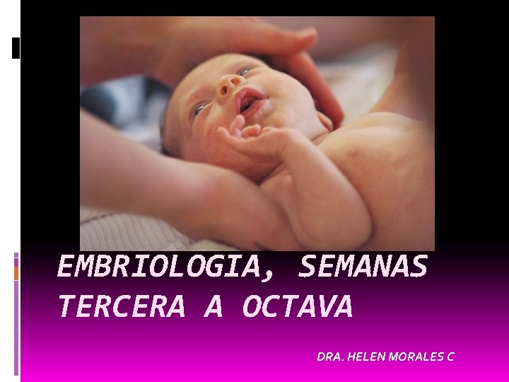 EMBRIOLOGIA, SEMANAS TERCERA A OCTAVA DRA. HELEN MORALES C 