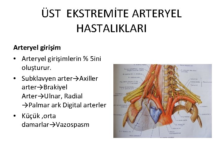 ÜST EKSTREMİTE ARTERYEL HASTALIKLARI Arteryel girişim • Arteryel girişimlerin % 5 ini oluşturur. •