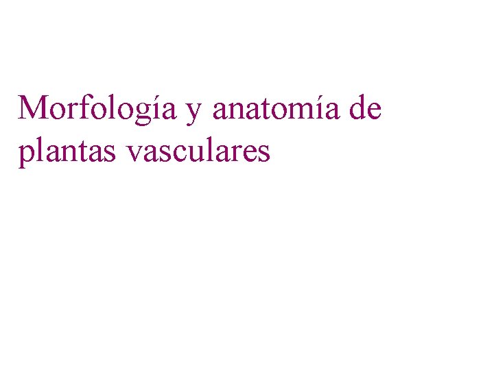 Morfología y anatomía de plantas vasculares 
