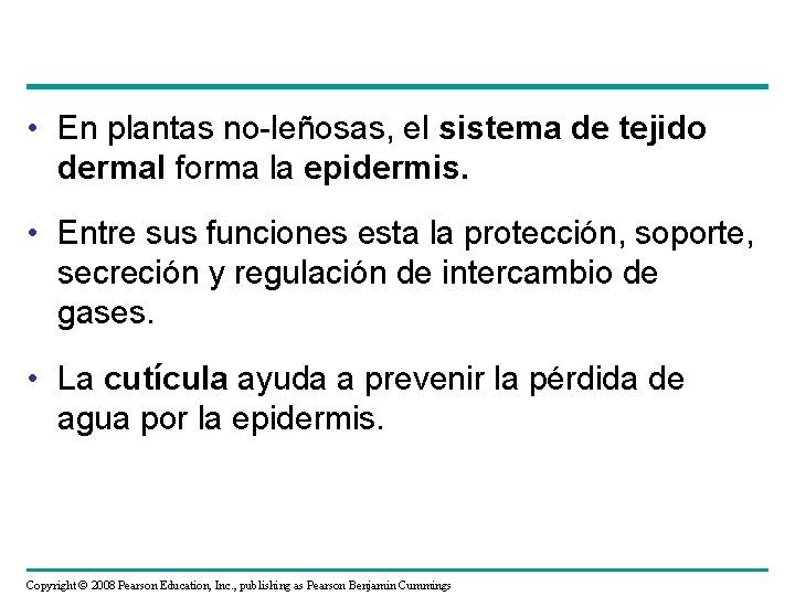  • En plantas no-leñosas, el sistema de tejido dermal forma la epidermis. •