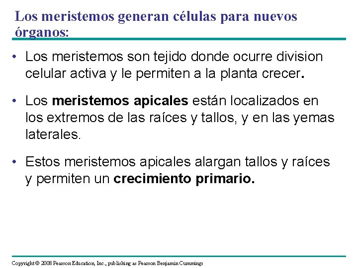 Los meristemos generan células para nuevos órganos: • Los meristemos son tejido donde ocurre