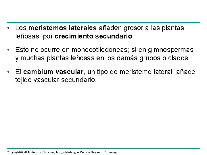  • Los meristemos laterales añaden grosor a las plantas leñosas, por crecimiento secundario.