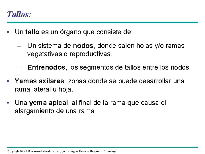 Tallos: • Un tallo es un órgano que consiste de: – Un sistema de