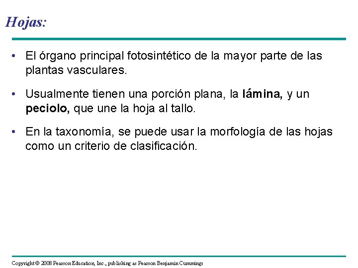 Hojas: • El órgano principal fotosintético de la mayor parte de las plantas vasculares.
