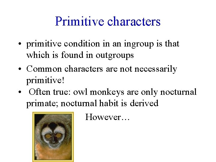 Primitive characters • primitive condition in an ingroup is that which is found in