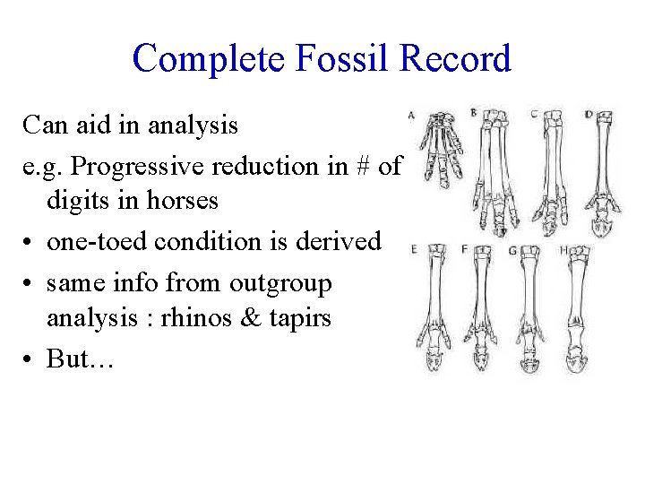 Complete Fossil Record Can aid in analysis e. g. Progressive reduction in # of