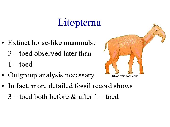 Litopterna • Extinct horse-like mammals: 3 – toed observed later than 1 – toed