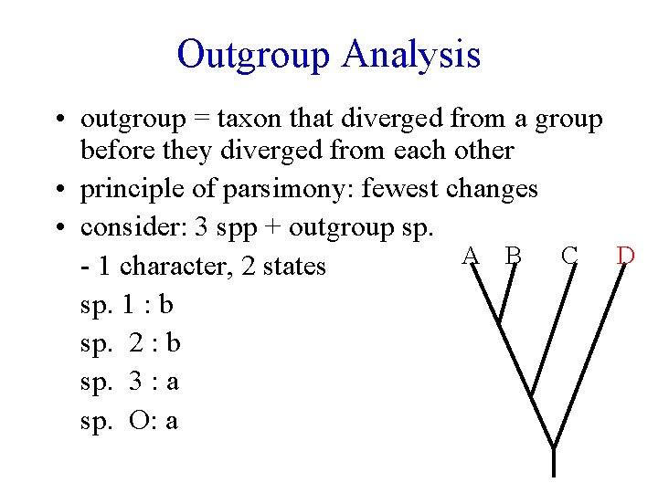 Outgroup Analysis • outgroup = taxon that diverged from a group before they diverged