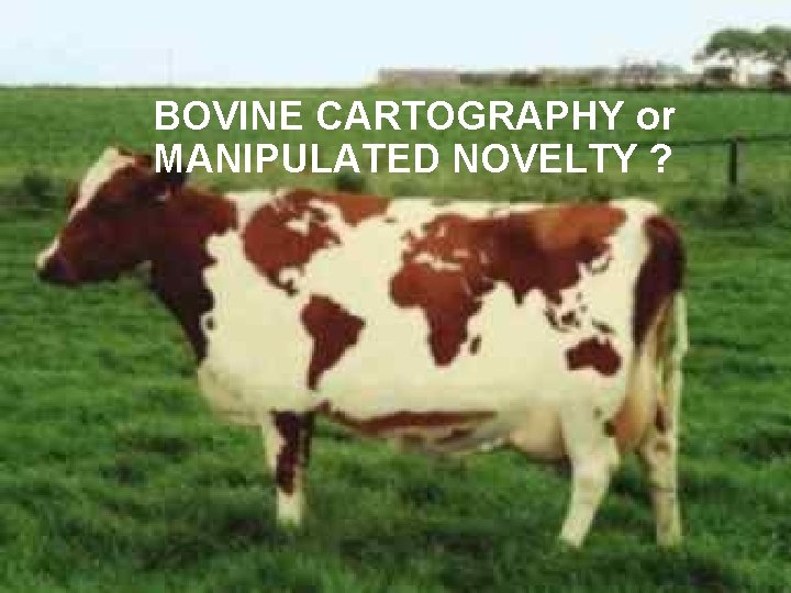 BOVINE CARTOGRAPHY or MANIPULATED NOVELTY ? 