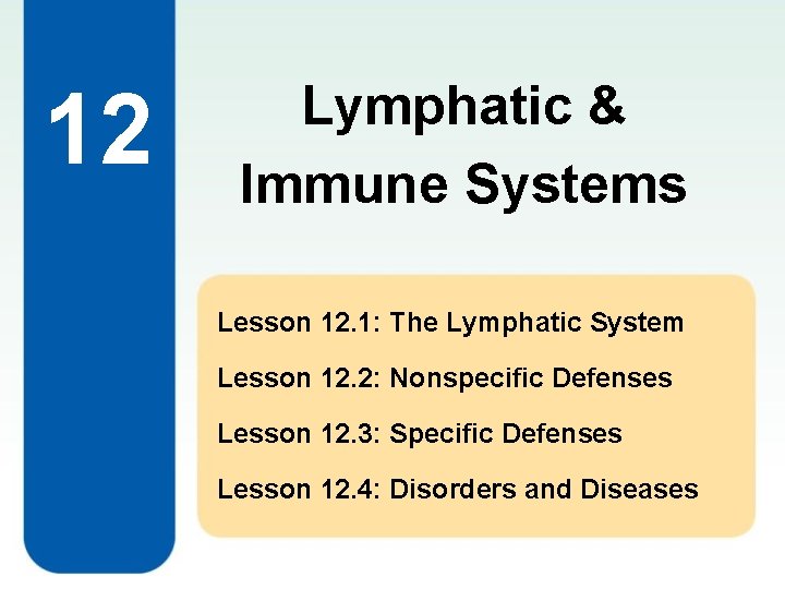 12 Lymphatic & Immune Systems Lesson 12. 1: The Lymphatic System Lesson 12. 2: