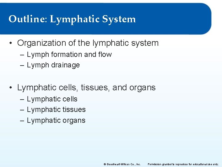 Outline: Lymphatic System • Organization of the lymphatic system – Lymph formation and flow