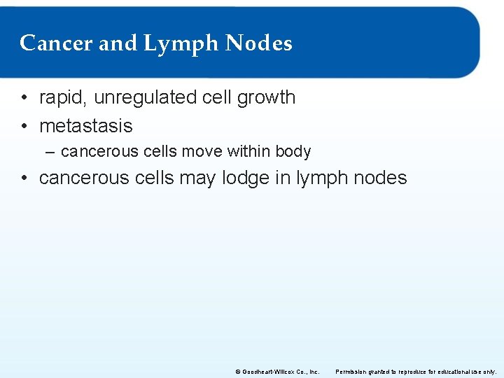 Cancer and Lymph Nodes • rapid, unregulated cell growth • metastasis – cancerous cells