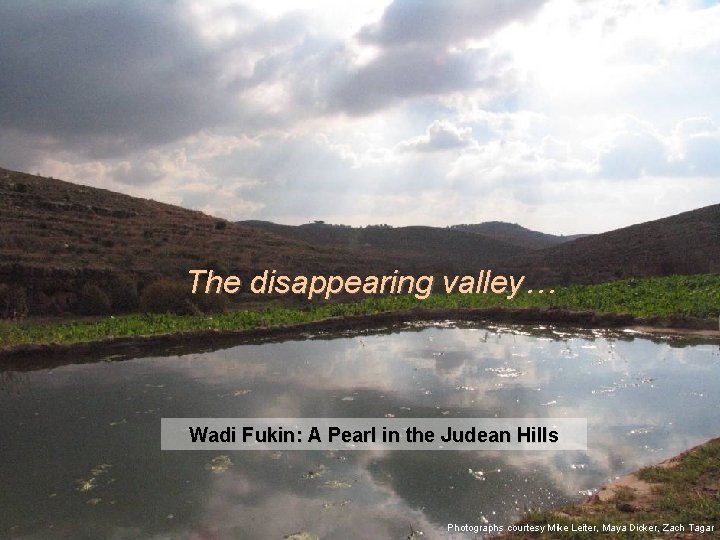 The disappearing valley… Wadi Fukin: A Pearl in the Judean Hills Photographs courtesy Mike