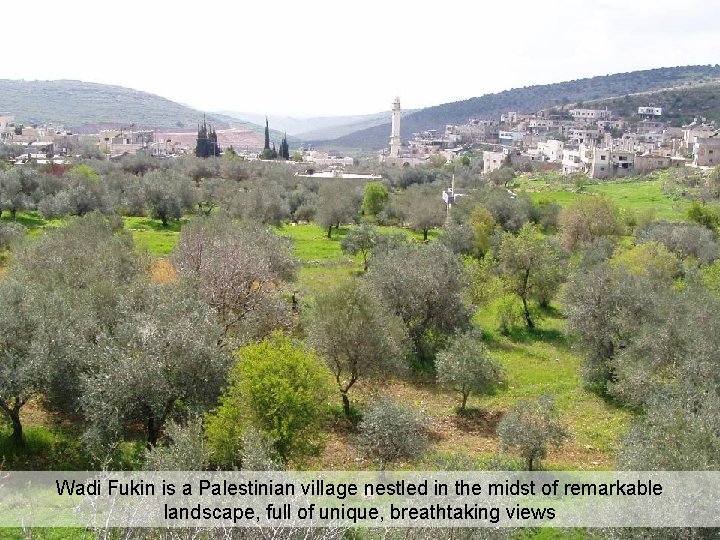 Wadi Fukin is a Palestinian village nestled in the midst of remarkable landscape, full