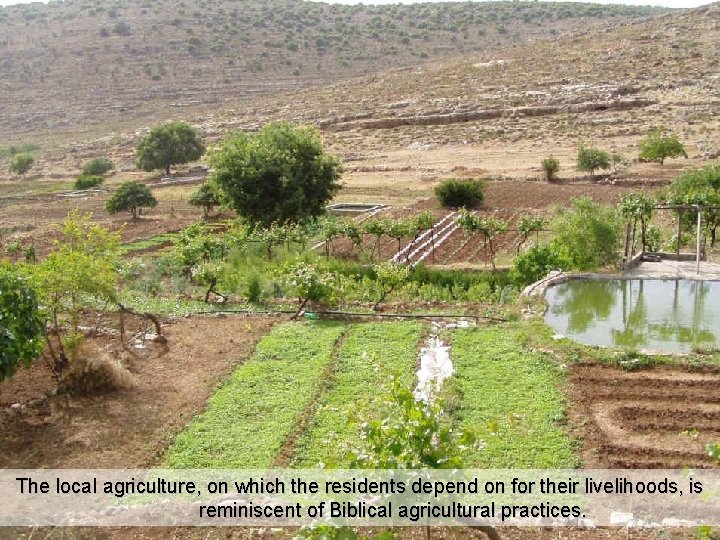 The local agriculture, on which the residents depend on for their livelihoods, is reminiscent