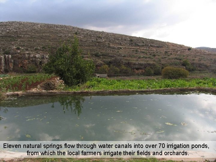 Eleven natural springs flow through water canals into over 70 irrigation ponds, from which