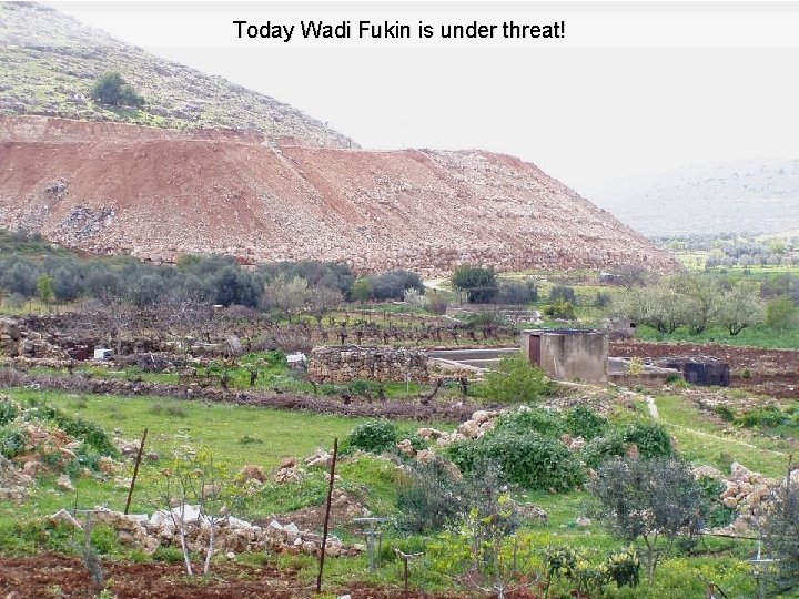 Today Wadi Fukin is under threat! 