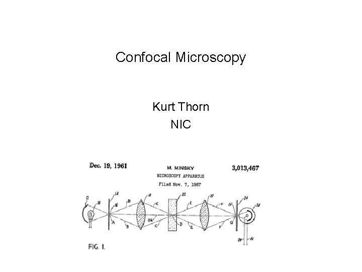 Confocal Microscopy Kurt Thorn NIC 